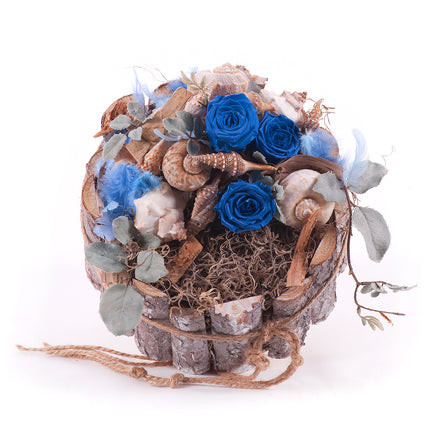 In eterno drevený box modré ruže s mušľami