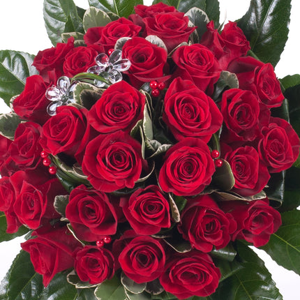 Elite červené růže Grand