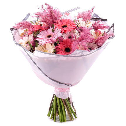 Sweet barevné gerbery a cortaderie