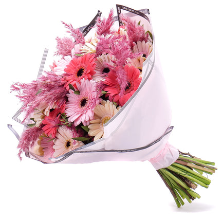 Sweet barevné gerbery a cortaderie