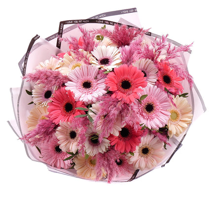 Sweet barevné gerbery a cortaderie