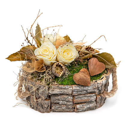 In eterno dřevěný box ovál krémové růže