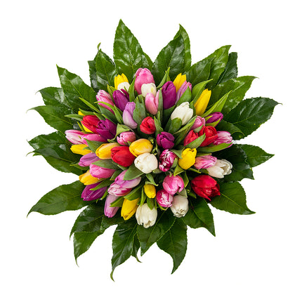 Perla barevné tulipány
