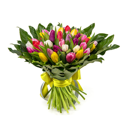 Perla barevné tulipány