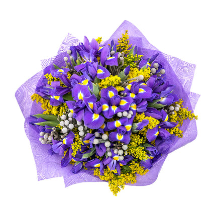 Sweet irisy a solidago