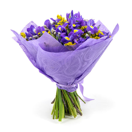 Sweet irisy a solidago