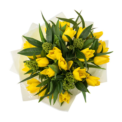 Sweet žlté tulipány skimmia