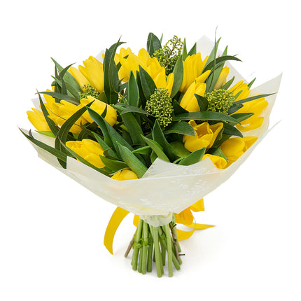 Sweet žlté tulipány skimmia