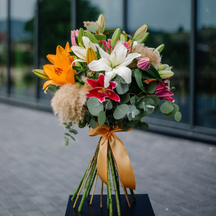 Amore barevné lilie