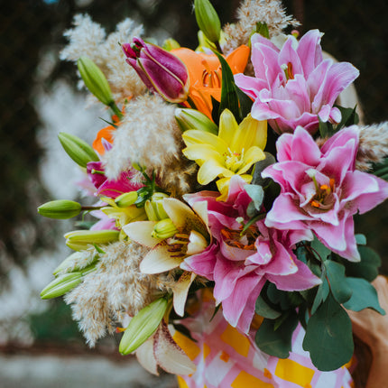 Amore barevné lilie