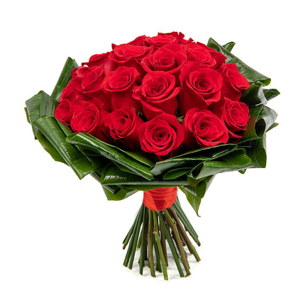 Passion červené růže