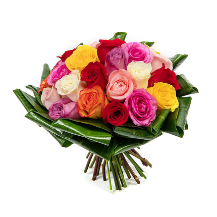 Passion barevné růže