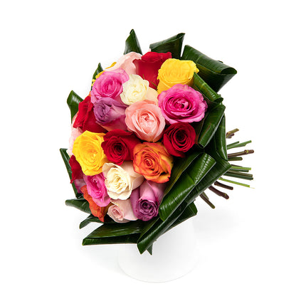 Passion barevné růže