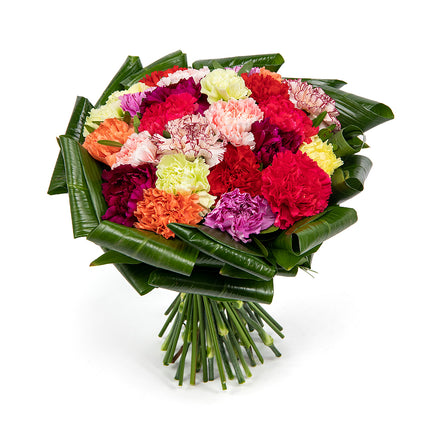 Passion barevné karafiáty