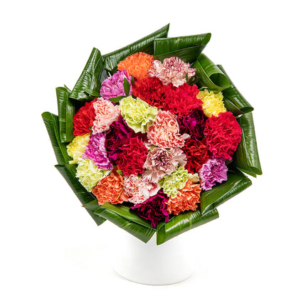 Passion barevné karafiáty