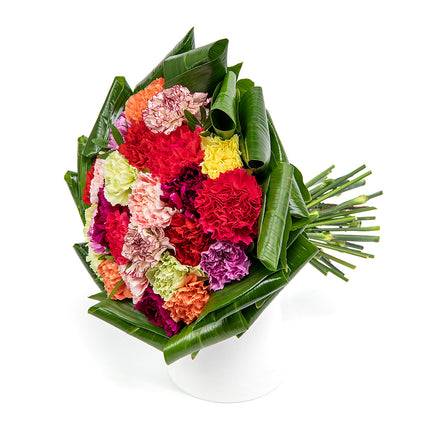 Passion barevné karafiáty