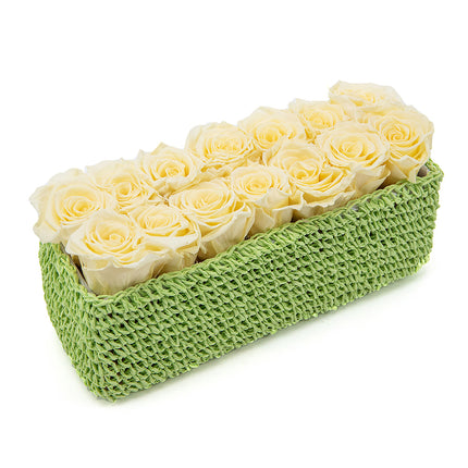 In eterno zelený pletený box 14 krémových růží