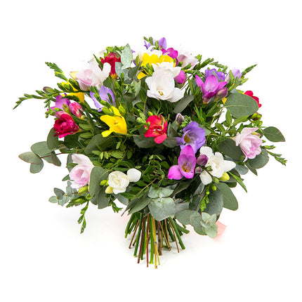 Elite barevné frézie