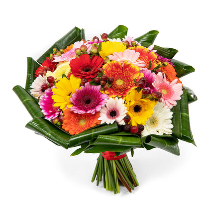 Passion barevné mini gerbery