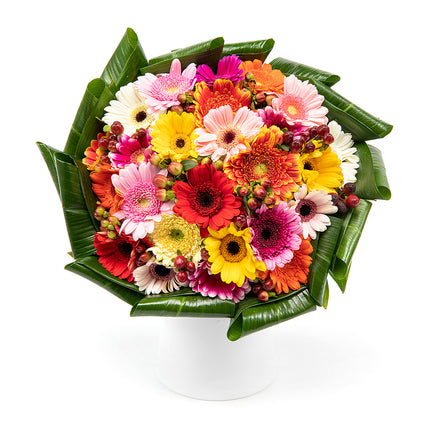 Passion barevné mini gerbery