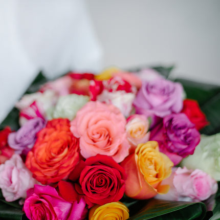 Passion barevné růže