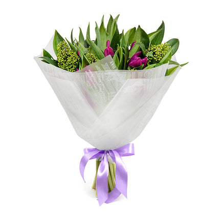 Sweet fialové tulipány skimmia