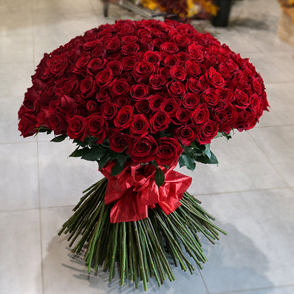 Amore červené růže 250