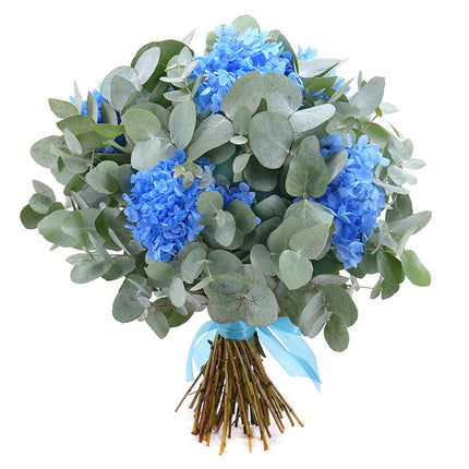 Kytica eukalyptus In eterno modrá hortenzia