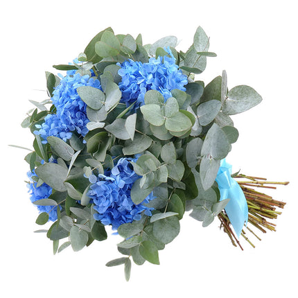 Kytica eukalyptus In eterno modrá hortenzia