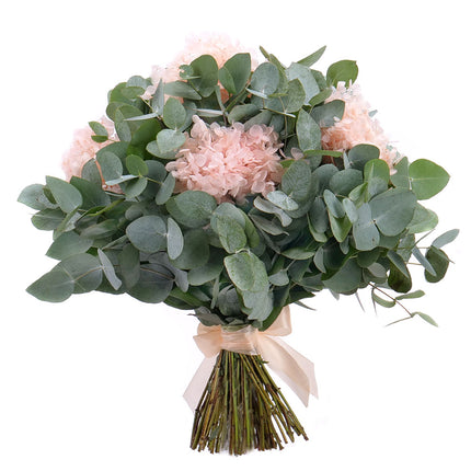 Kytica eukalyptus In eterno marhuľová hortenzia