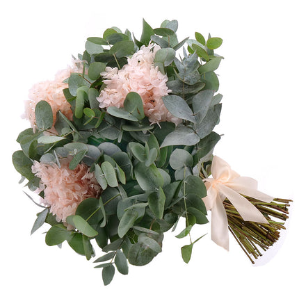 Kytica eukalyptus In eterno marhuľová hortenzia