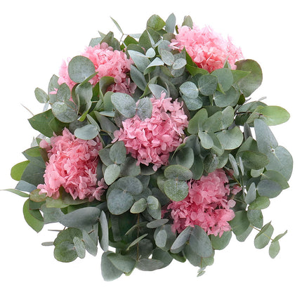 Kytica eukalyptus In eterno tmavo ružová hortenzia