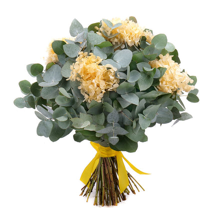 Kytica eukalyptus In eterno žltá hortenzia