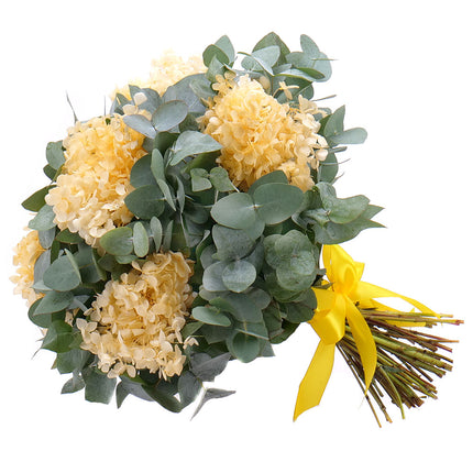 Kytica eukalyptus In eterno žltá hortenzia
