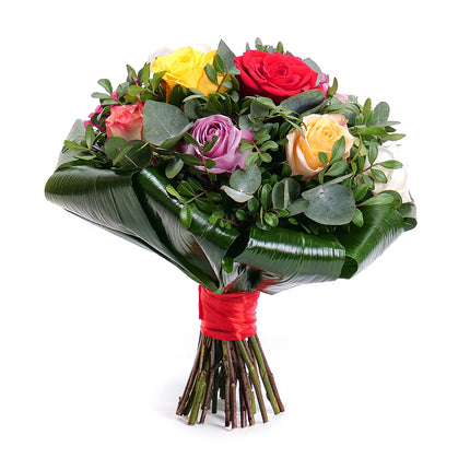 Elite barevné růže