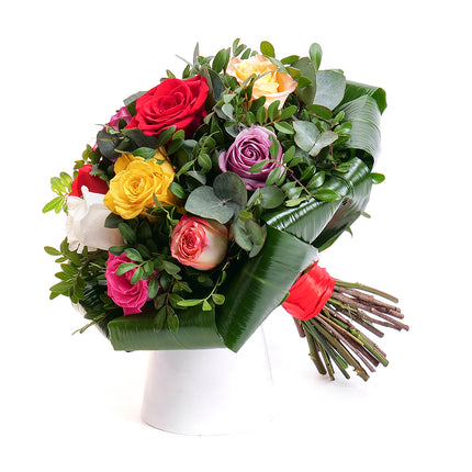 Elite barevné růže