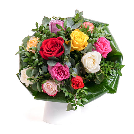 Elite barevné růže