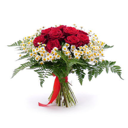 Sweet červené růže s heřmánky