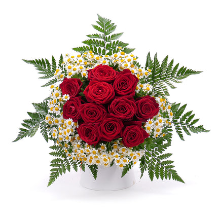 Sweet červené růže s heřmánky