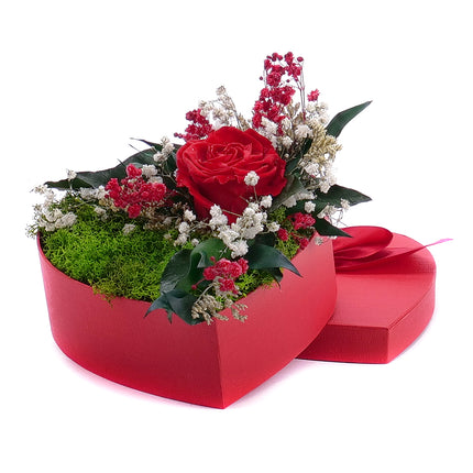 In eterno červené srdce "S" červená růže