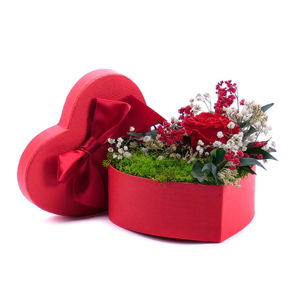 In eterno červené srdce "S" červená růže