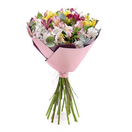 Sweet barevné alstromerie