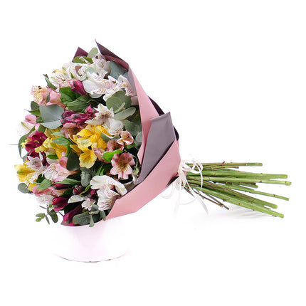 Sweet barevné alstromerie