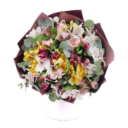 Sweet barevné alstromerie