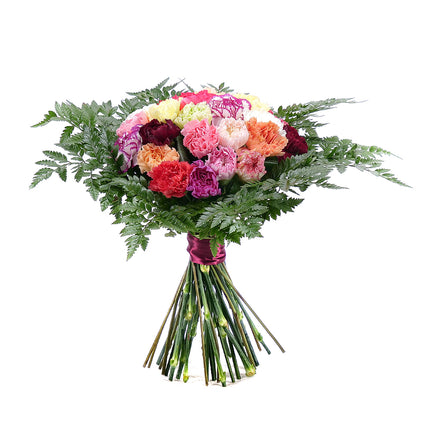 Perla barevné karafiáty