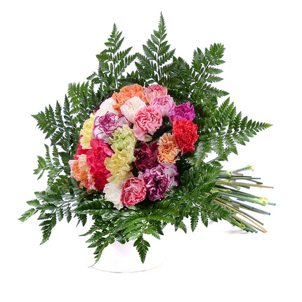 Perla barevné karafiáty