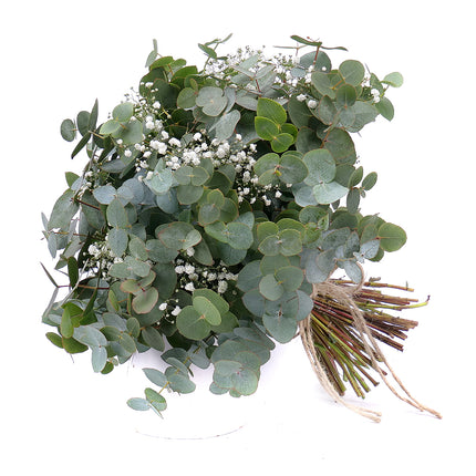 Nature Kytice eukalypt s gypsophilou