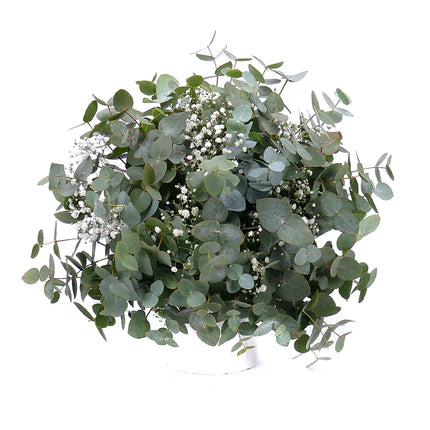 Nature Kytice eukalypt s gypsophilou