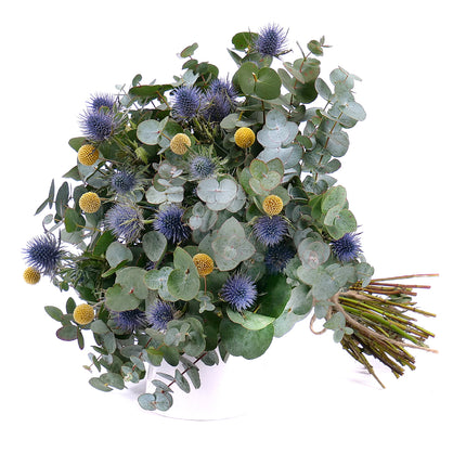 Nature Kytice eukalypt, eryngium a craspedia