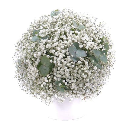 Kytice gypsophila a eukalypt